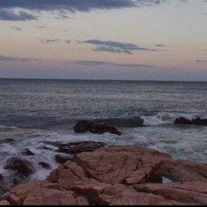 Meet your Posher, Wenting